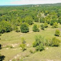 Deep Fork 175 images 2