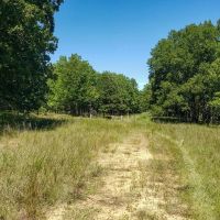Deep Fork 175 images 3