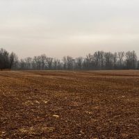 24 Acres - Grant County IN - 1 Mile from Eastbrook High School images 2