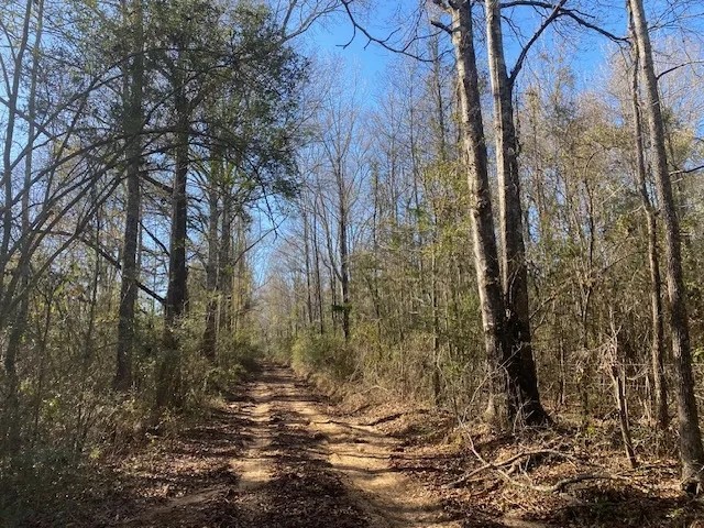 Secluded 26 acres- Hunting- Power Water featured image