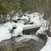 North Powder River Timber images 3