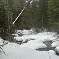 North Powder River Timber images 4