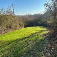 3 BR 2 BA Camp on - 42 Acres in Southwest MS images 4