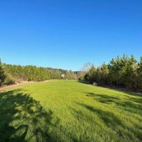 3 BR 2 BA Camp on - 42 Acres in Southwest MS images 5