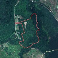 29.88 acres of Hunting Recreational and Timber Land For Sale in Surry County VA
