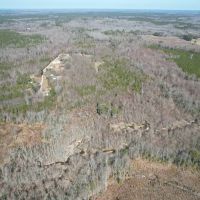 29.88 acres of Hunting Recreational and Timber Land For Sale in Surry County VA images 2