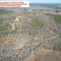 29.88 acres of Hunting Recreational and Timber Land For Sale in Surry County VA images 3