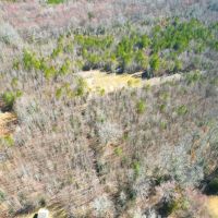 29.88 acres of Hunting Recreational and Timber Land For Sale in Surry County VA images 4