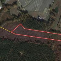 9.88 acres of Hunting Land for Sale in Halifax County NC