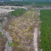 9.88 acres of Hunting Land for Sale in Halifax County NC images 2