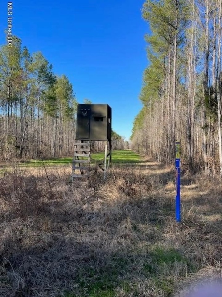 358 Acres For Sale in Madison County featured image