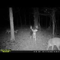 358 Acres For Sale in Madison County images 2
