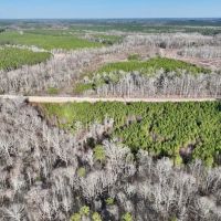 9.57 acres of Creekfront Hunting Land For Sale in Warren County NC images 4