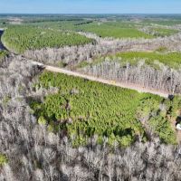 9.57 acres of Creekfront Hunting Land For Sale in Warren County NC images 5