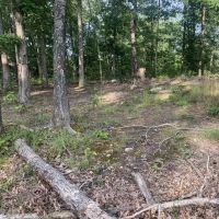 Salem Woods images 3