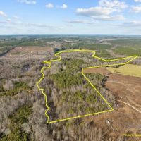 104.8 Acres of Residential and Recreational Timber Land For Sale in Franklin County NC images 3