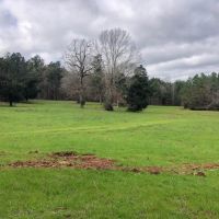 Foodplot 1