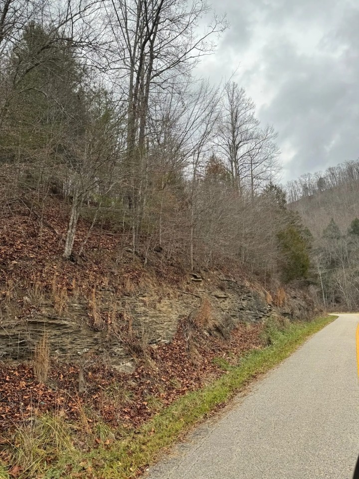 20 - Acres Booneville KY featured image