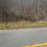 20 - Acres Booneville KY images 3