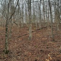 20 - Acres Booneville KY images 4