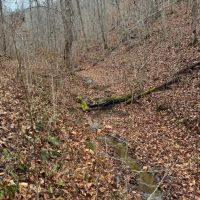 20 - Acres Booneville KY images 5