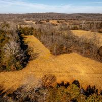208 Acres - Hunting River Frontage Sharp County Arkansas images 3