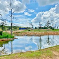 59 Acres Britt Simmons Tanglewood Rd
