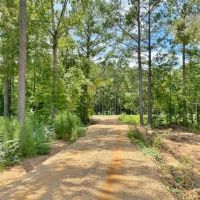 59 Acres Britt Simmons Tanglewood Rd images 2