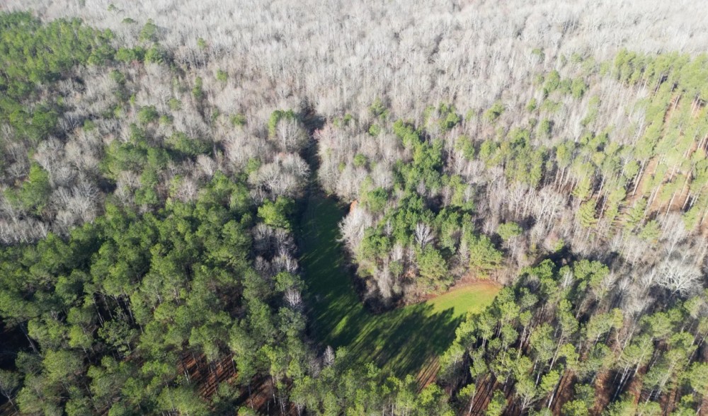 641 Acres in Attala County in Kosciusko MS featured image