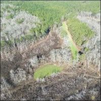 641 Acres in Attala County in Kosciusko MS images 4
