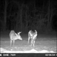 641 Acres in Attala County in Kosciusko MS images 5