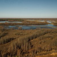 One Equity Share at Lone Cypress LLC in Tallahatchie County MS images 3