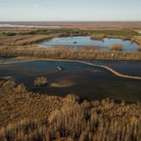 One Equity Share at Lone Cypress LLC in Tallahatchie County MS images 4
