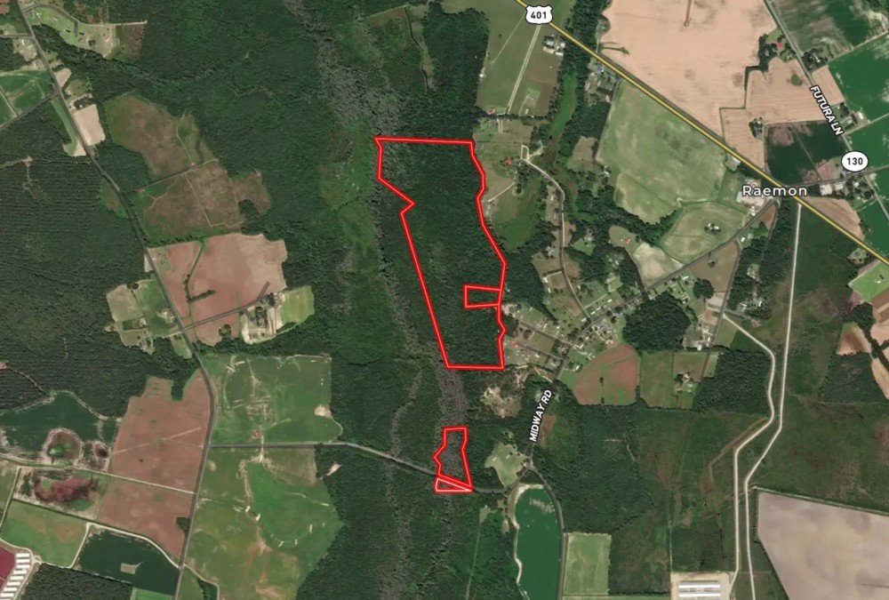 115.32 acres of Hunting and Recreational Land For Sale in Robeson County NC featured image