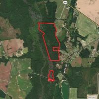 115.32 acres of Hunting and Recreational Land For Sale in Robeson County NC