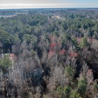 115.32 acres of Hunting and Recreational Land For Sale in Robeson County NC images 5