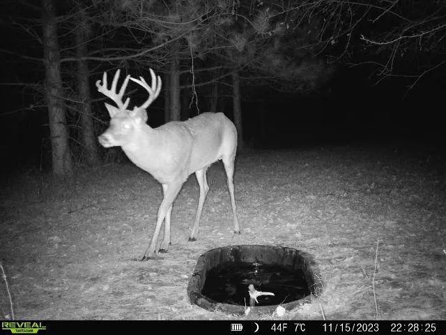 Small Hunting Property with Build Site for sale in Trempealeau County WI featured image