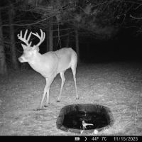Small Hunting Property with Build Site for sale in Trempealeau County WI