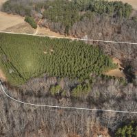 Small Hunting Property with Build Site for sale in Trempealeau County WI images 4