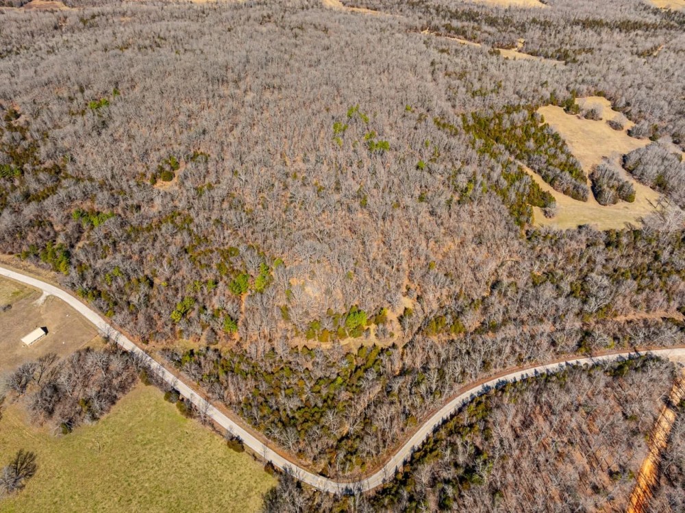 68 - Acres Mature Timber Hunting Property Ash Flat Arkansas featured image