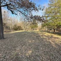 68 - Acres Mature Timber Hunting Property Ash Flat Arkansas images 2