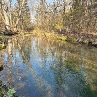 68 - Acres Mature Timber Hunting Property Ash Flat Arkansas images 3