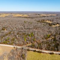68 - Acres Mature Timber Hunting Property Ash Flat Arkansas images 5