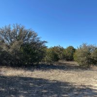 New Listing 17.5 - Acres Home Callahan County images 4