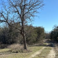 New Listing 17.5 - Acres Home Callahan County images 5