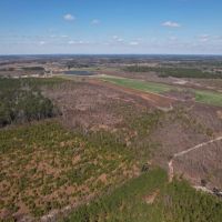 194.91 acres of Farm and Recreational Land For Sale in Robeson County NC images 3