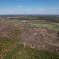 194.91 acres of Farm and Recreational Land For Sale in Robeson County NC images 4