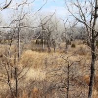Canadian River Oxbow- 100 Acres images 5