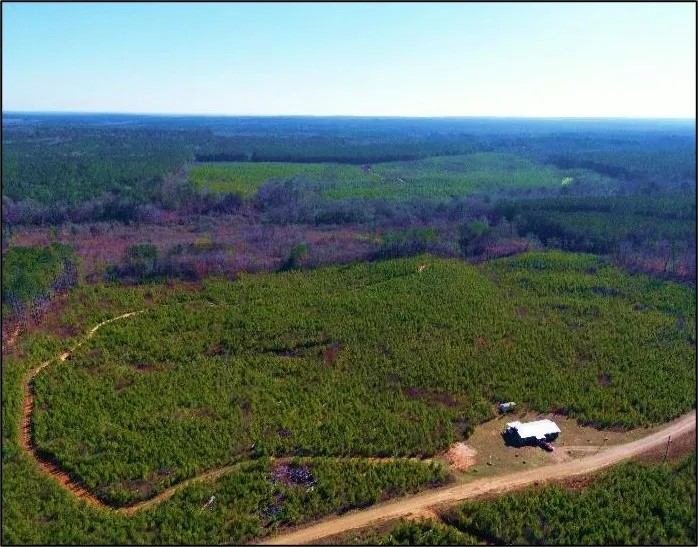 568 Acres with a Camp in Winston County in Louisville MS featured image