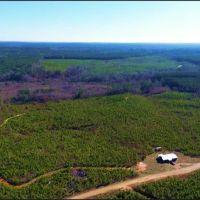 568 Acres with a Camp in Winston County in Louisville MS